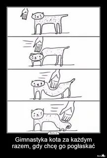 Как гладить кота