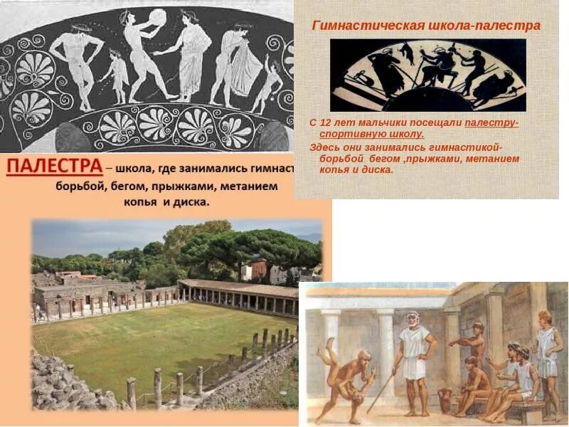 Палестра в древней греции. Школа палестра в древней греции. Гимнасии в древней греции. Гимнасии в древней греции. Гимнасии в древней греции.