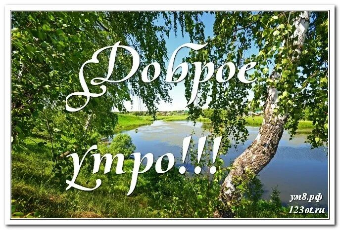 Доброе утро картинки пожелания с лесом Открытки с пожеланием удачного дня. Добрый день друзья!