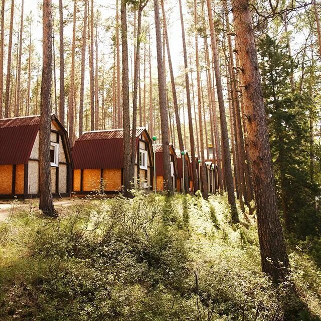 база отдыха степаново. турбаза степаново вологодская область. турбаза расул горный алтай. турбаза витязь алтай. байкальское шале максимиха.