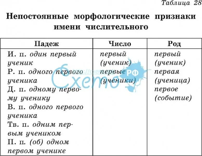 Морфологические признаки порядковых числительных. Имя числительное постоянные и непостоянные морфологические признаки. Числительное морфологические признаки. Морфологические особенности числительных. Непостоянные признаки числительных.