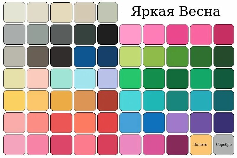 Цветовая палитра цветотипа. Палитра ле корбюзье. Цветовая палитра лето цветотип. Тёмная осень цветотип палитра. Cool summer цветотип.