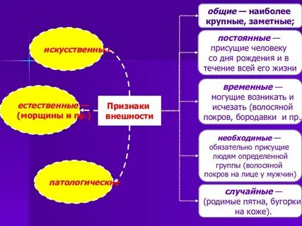 Признаки внешности человека