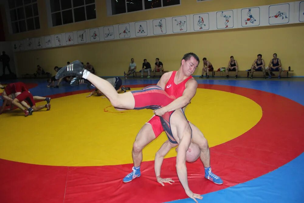 дюсш греко римская борьба. дюсш с михайловка приморский край. тренировки по греко римской борьбе. носов кирилл греко римская борьба. дюсш греко римская борьба.