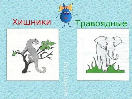 Хищники и травоядные