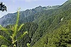 Tagiri go. Tagiri go