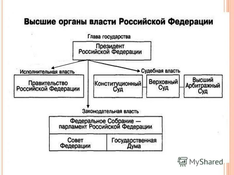 Организация федеральной власти в россии