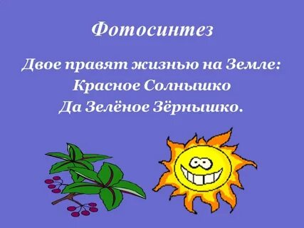 Фотосинтез это процесс происходящий в зеленых