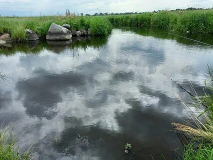 Река 54