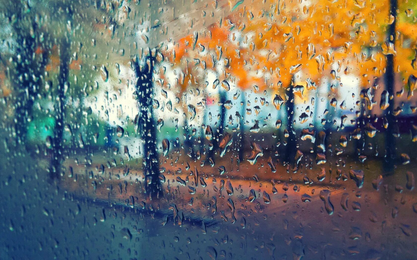 Хотя дождя. Капли на стекле. Дождливая осень. Осень дождь. Обои на рабочий стол дождь.