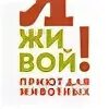 Приют я живой