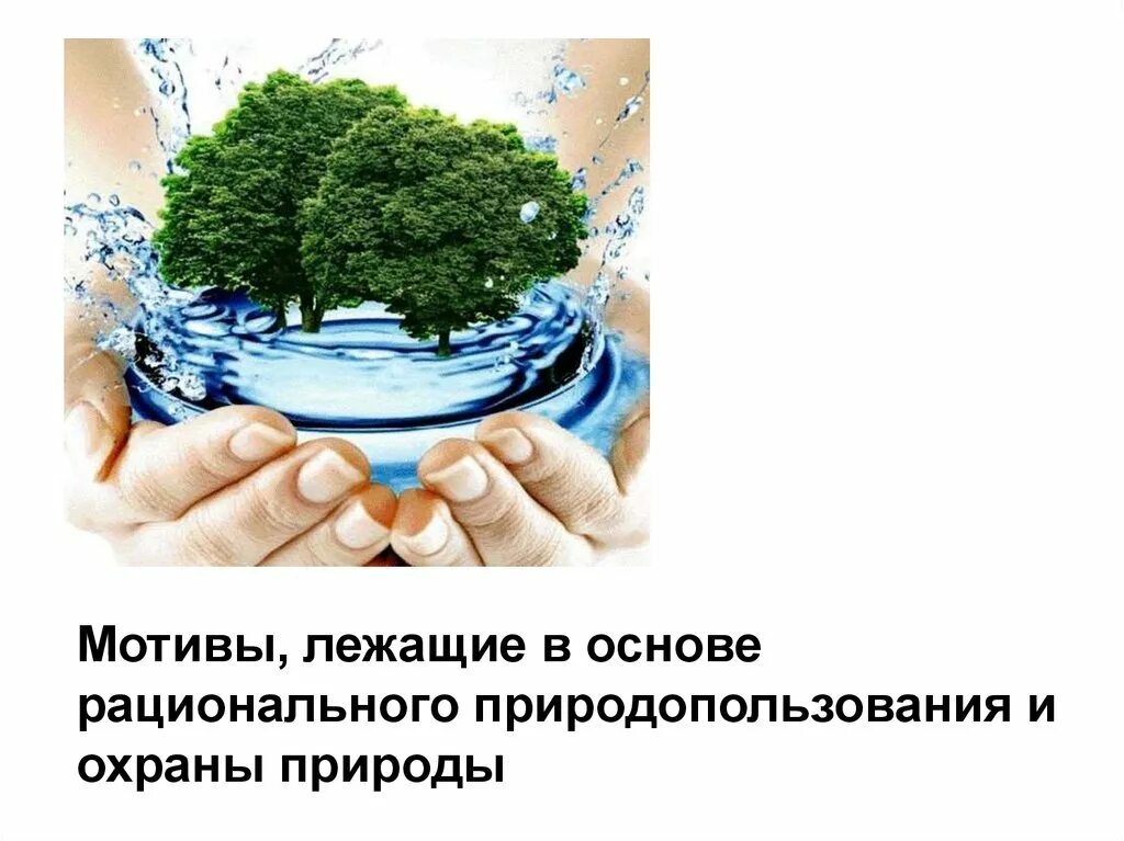 Основы законов об окружающей среде. Экологические законы природопользования. Охрана природы и окружающей среды. Рациональное природопользование и охрана окружающей среды.. Окружающая среда и рациональное природопользование.