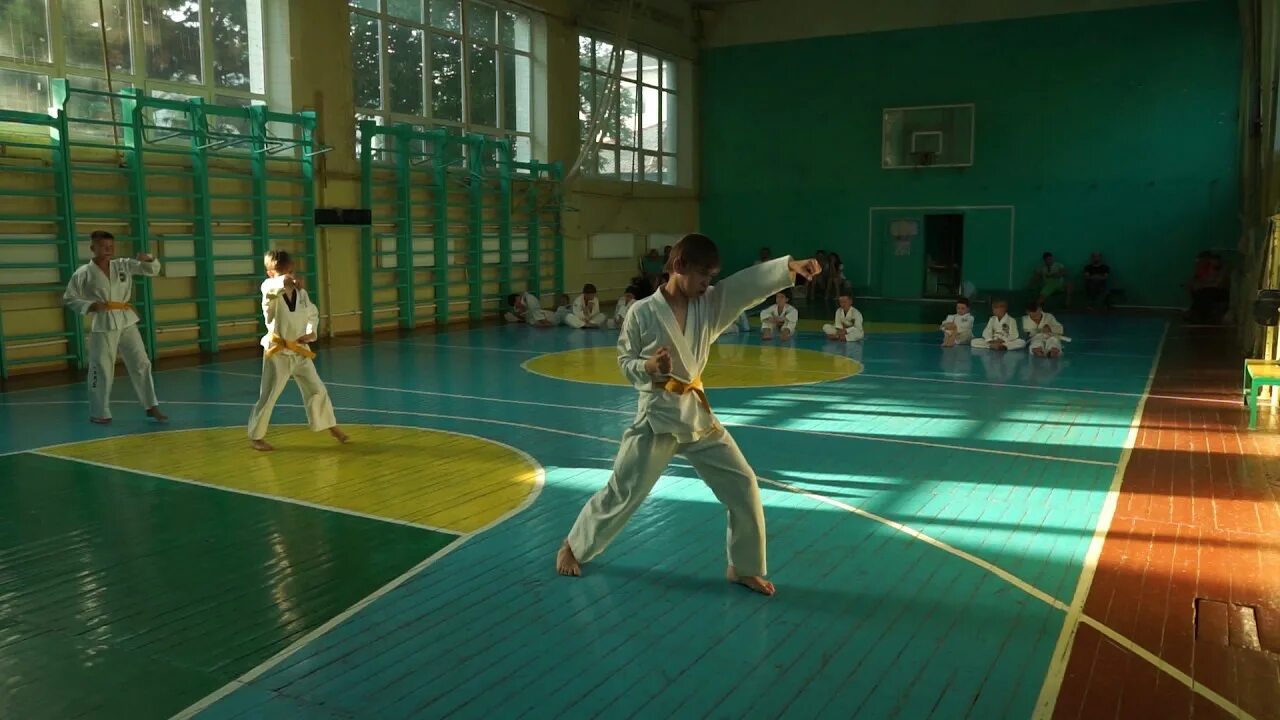 Таэквондо аттестация на зеленый. Таэквондо аттестация на зеленый. Аттестация тхэквондо. Аттестация на зеленый пояс тхэквондо итф. Тэквондо туль на зеленый пояс.