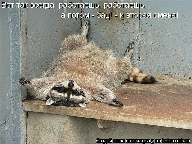 Уставший за компом. Открытки от усталости. Цитаты про усталость смешные. Уставшая девушка. Человек с хронической усталостью.