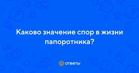 Какого значение спор