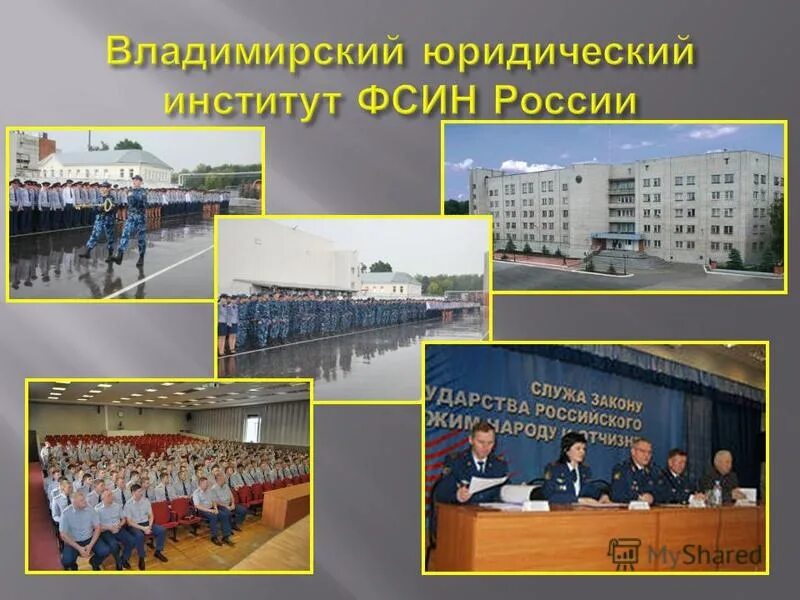 Владимирский институт исполнения наказаний. Владимирский институт фсин россии. владимирский юридический институт фсин рф. институт мвд владимир. вюи фсин символика.