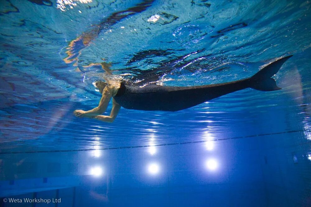 русалка фото. санта клаус фото. варламов елки. настоящих новые.