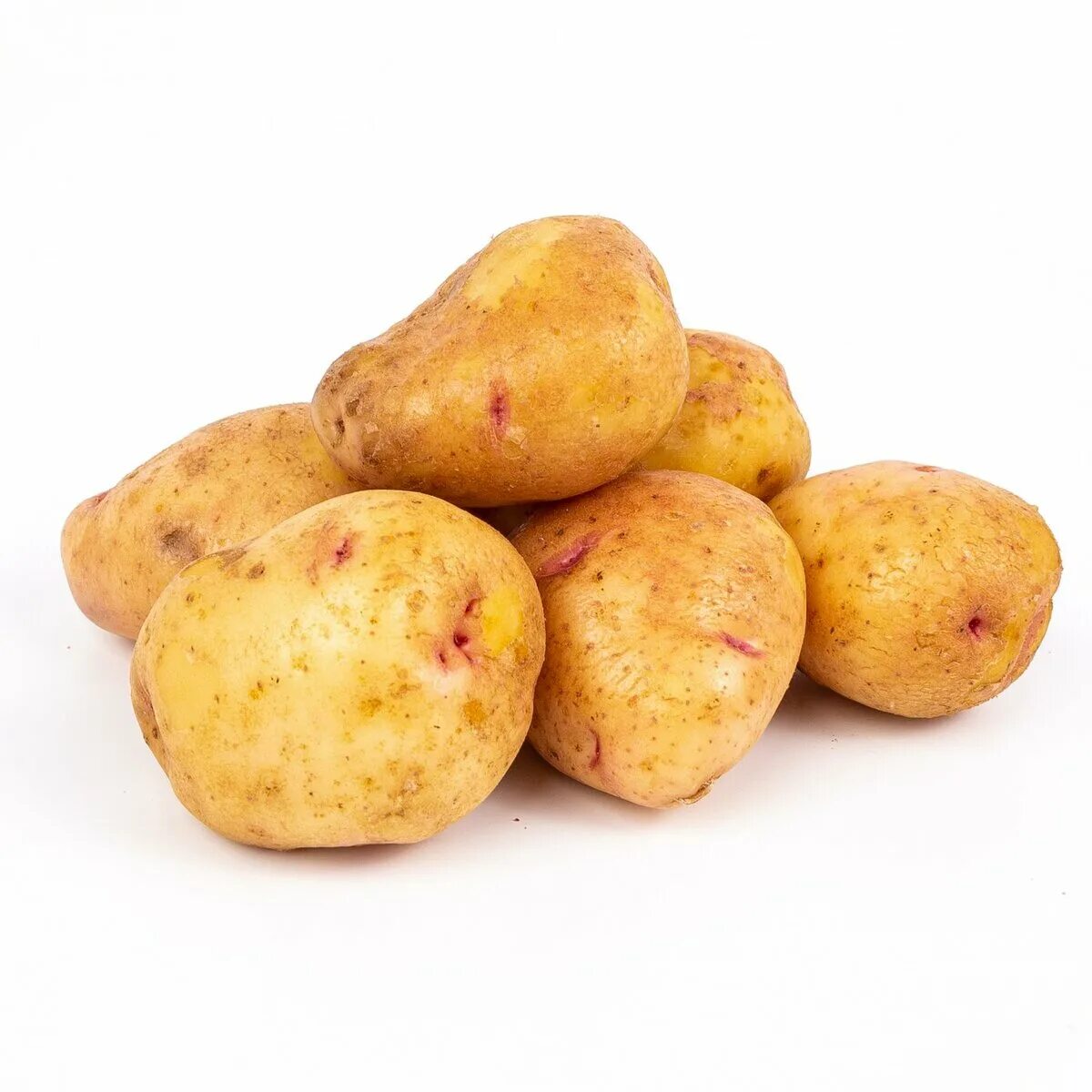 Картофель синеглазка описание сорта отзывы. Картофель Синеглазка. Сорт картофеля Синеглазка. Сорт картошки Синеглазка. Картофель мытый.