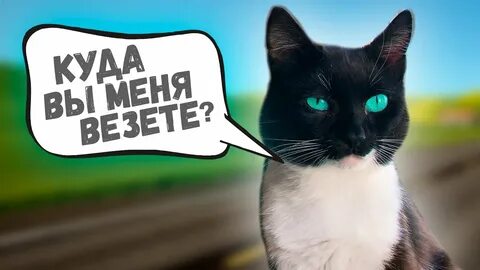 Саня влог