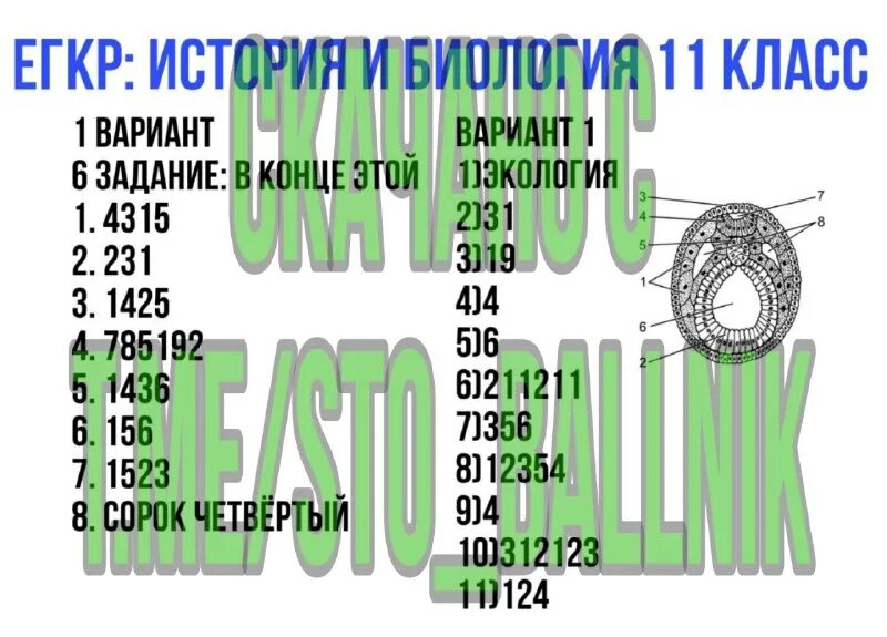 егкр 2024 литература