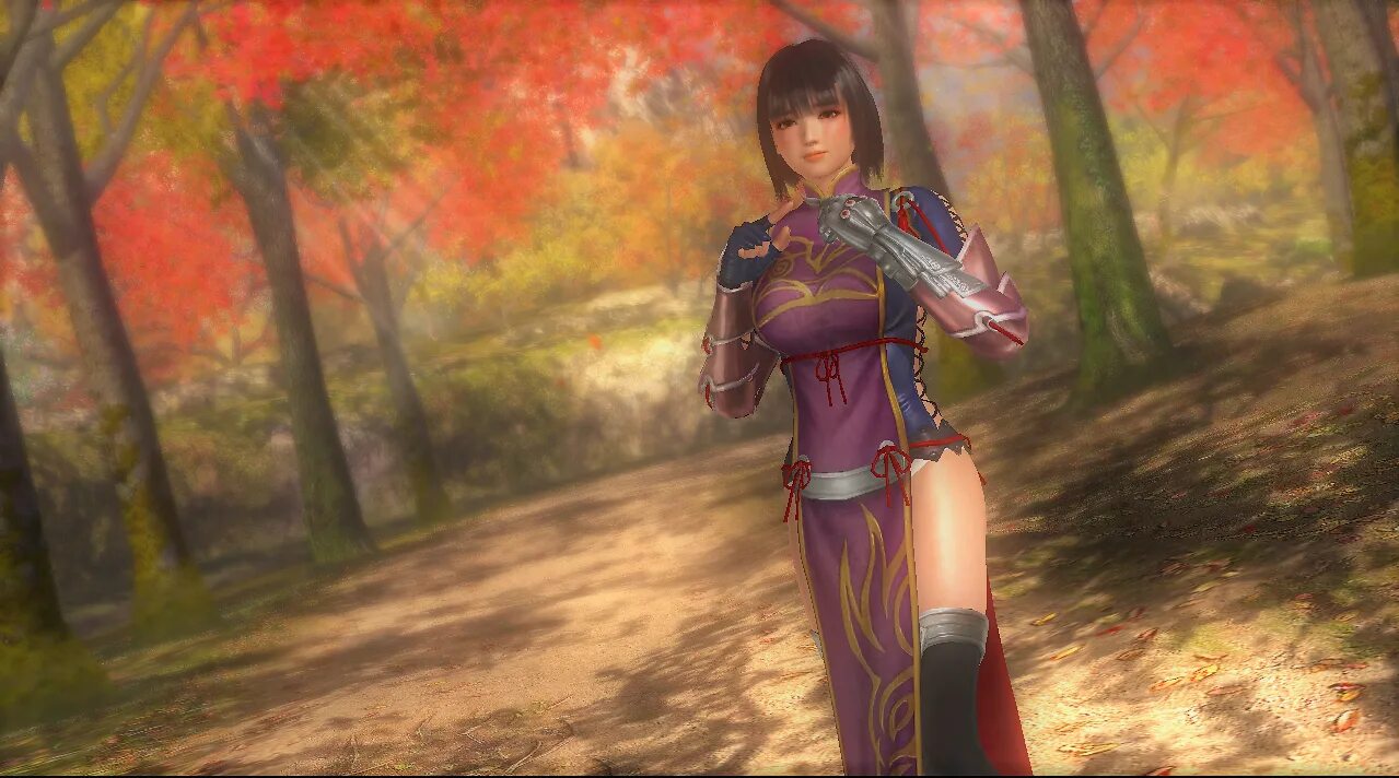 Dog or alive демо. Dead or Alive Naotora li. Naotora Costumes doa5 Mods. Нара Момиджи. Naotora Dead or Alive 5 арты.