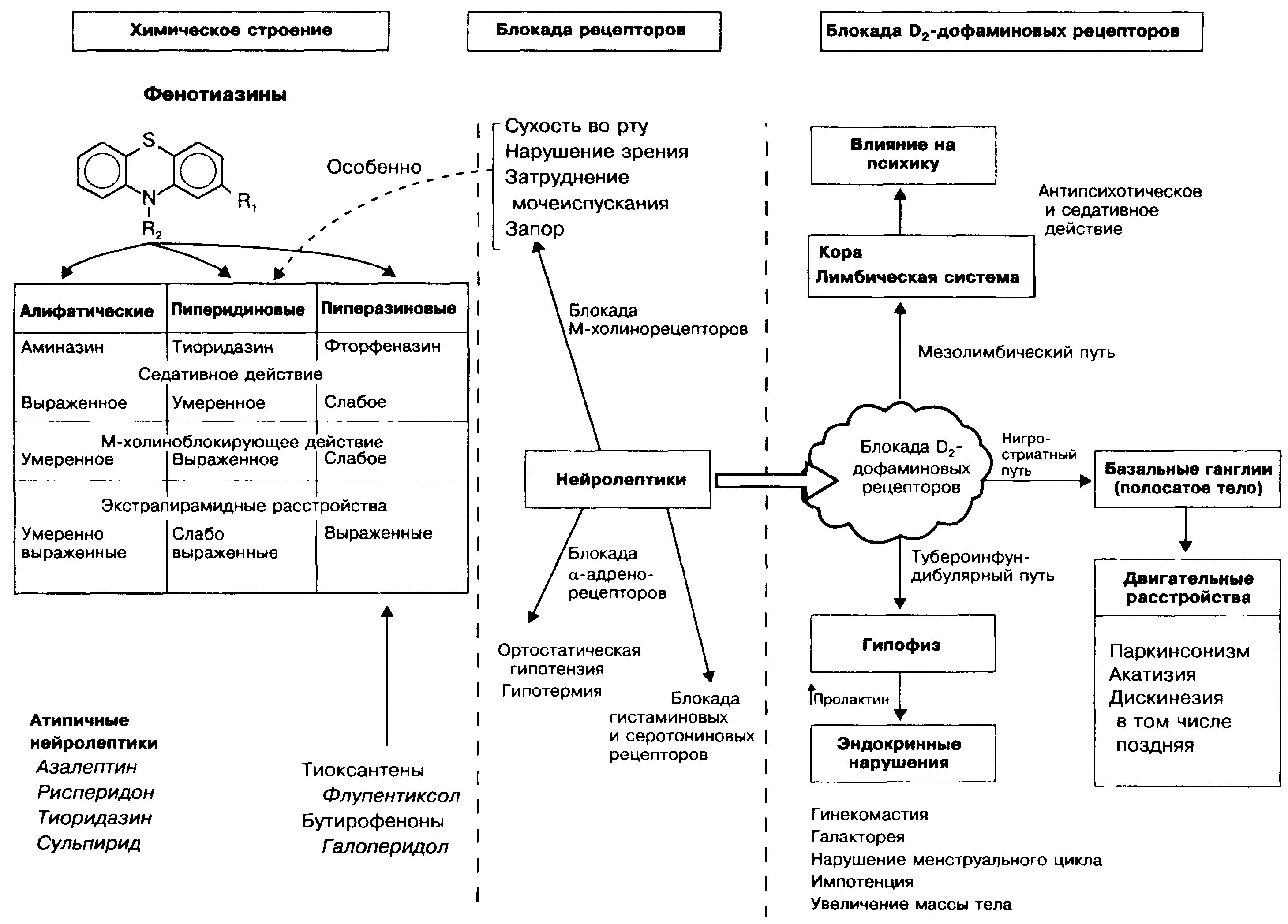 Механизм действия нейролептиков фармакология схема. Механизм действия нейролептиков фармакология. Действие нейролептиков схема. Фармакология классификация лекарственных средств схемы.
