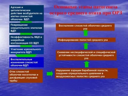 Действие возбудителя