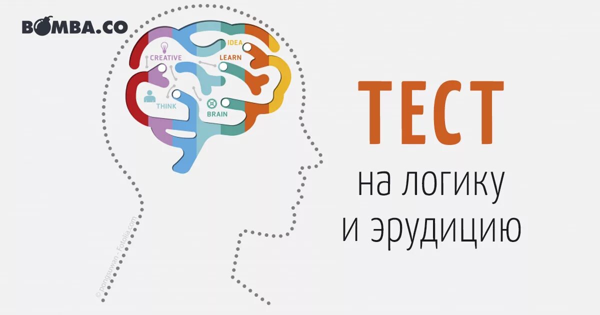 Задания на эрудицию. Тесты на логику и эрудицию. Тест на эрудицию картинки.