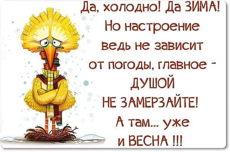 Ответ на вопрос как настроение. Статусы про холод. Холодно прикол. Пожелания не замерзнуть. Прикольные статусы про холод.