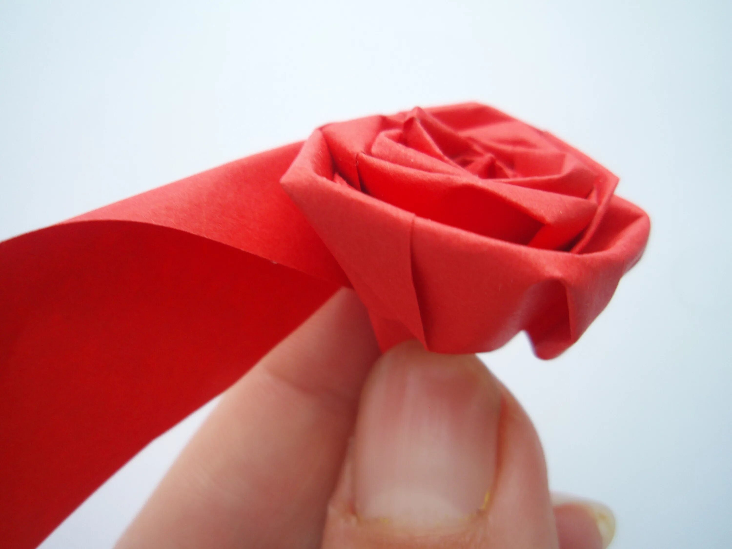 Розочка из бумаги. Красные розы из бумаги. Как сделать розочки из бумаги своими руками