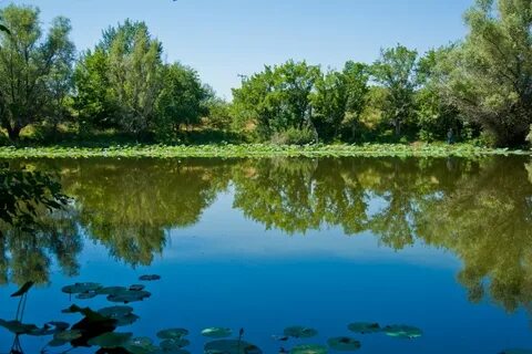 Волгоградские водоемы