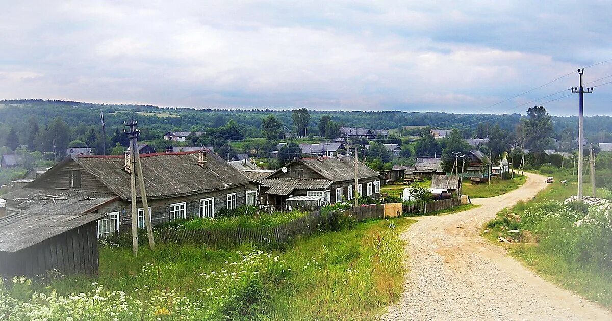 Деревня Локотско Крестецкий район. Новгородская область Локотско Крестецкий. Локотско Новгородская область деревня. Новгородская область Крестецкий район деревня Локотско
