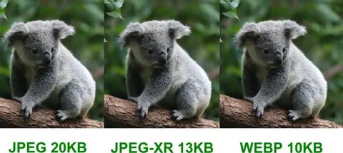Тип webp