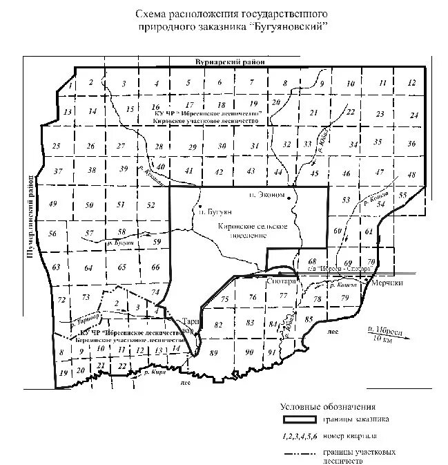 Карта кварталов леса. Карта с кварталами и выделами. Шумерлинское участковое лесничество карта. Схема Кокшайского лесничества. Карта участков лесничества