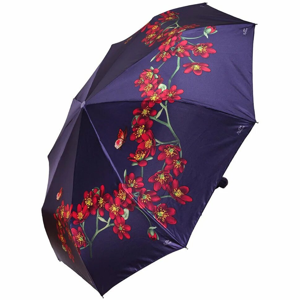 Зонт popular Umbrella женский. Зонт популяр 1270 зеленый. Po pular зонт. Зонт popular 888. Озон зонты женские автоматы