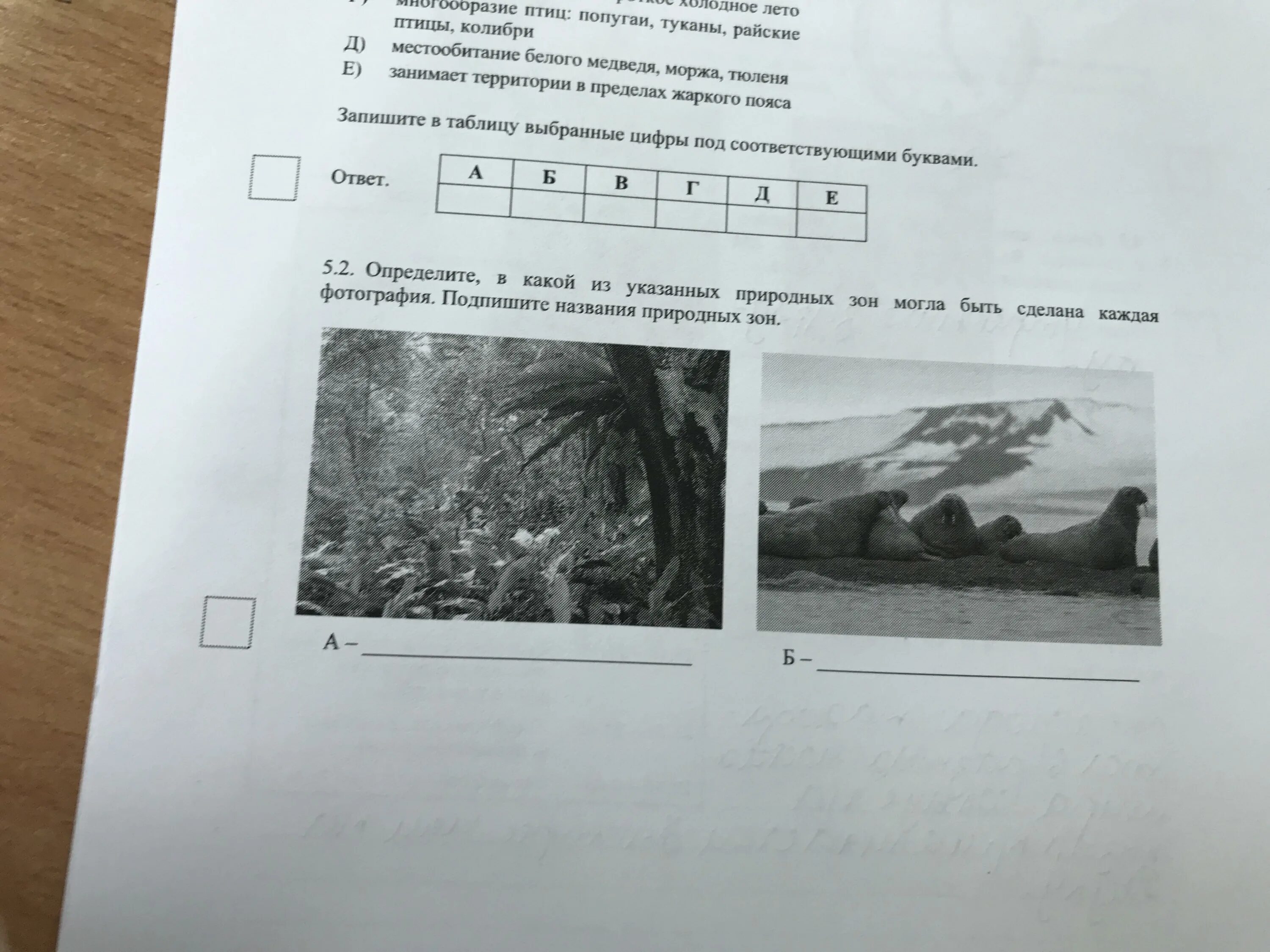 В какой из указанных природных. Подпишите названия природных зон изображённых на фотографиях. 183. подпишите названия природных зон, изображенных на фотографиях.. подпишите названия природных зон изображённых на фотографиях 5 класс. вариант 1 география определите в какой из указанных природных зон.