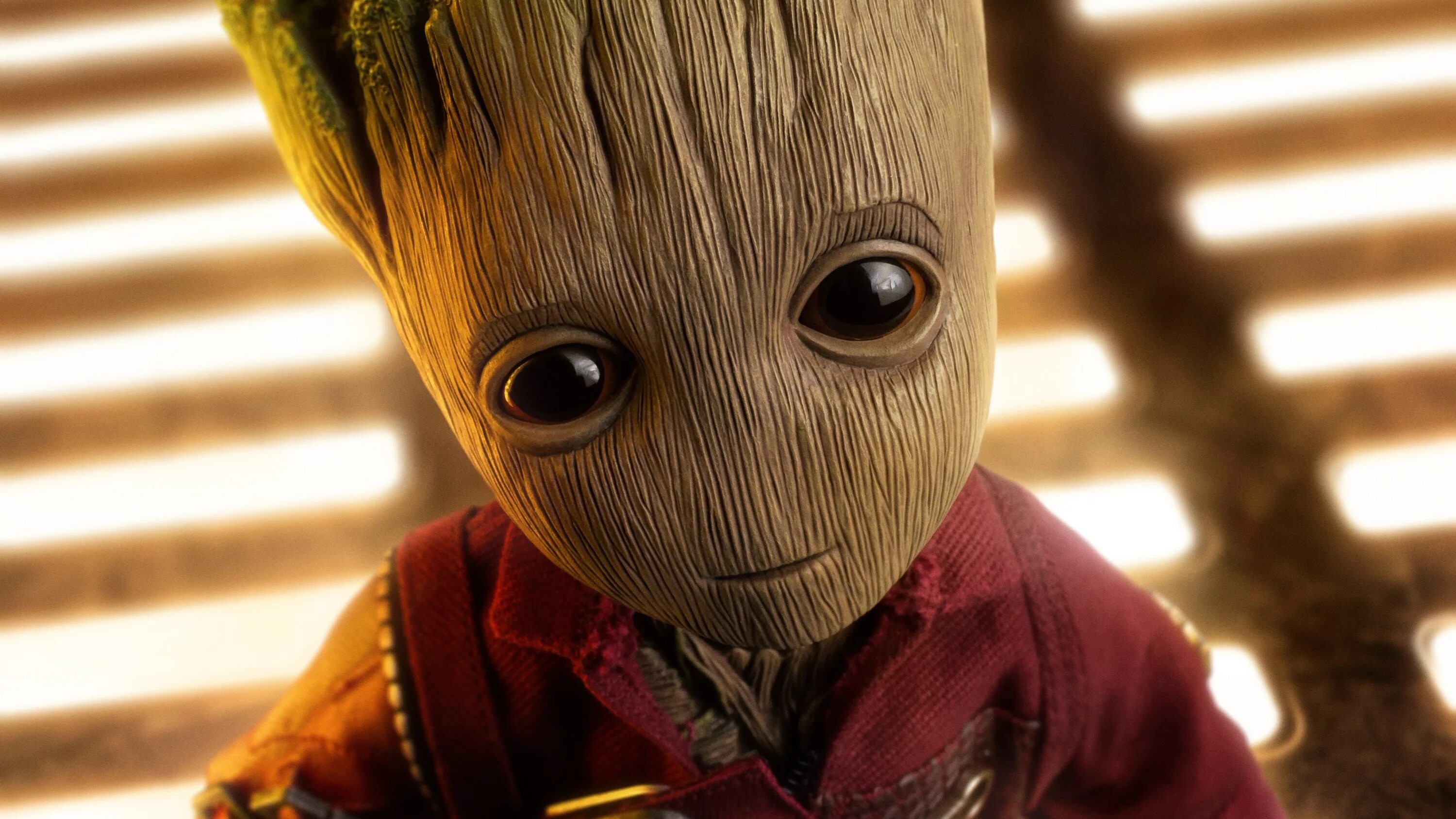 Groot