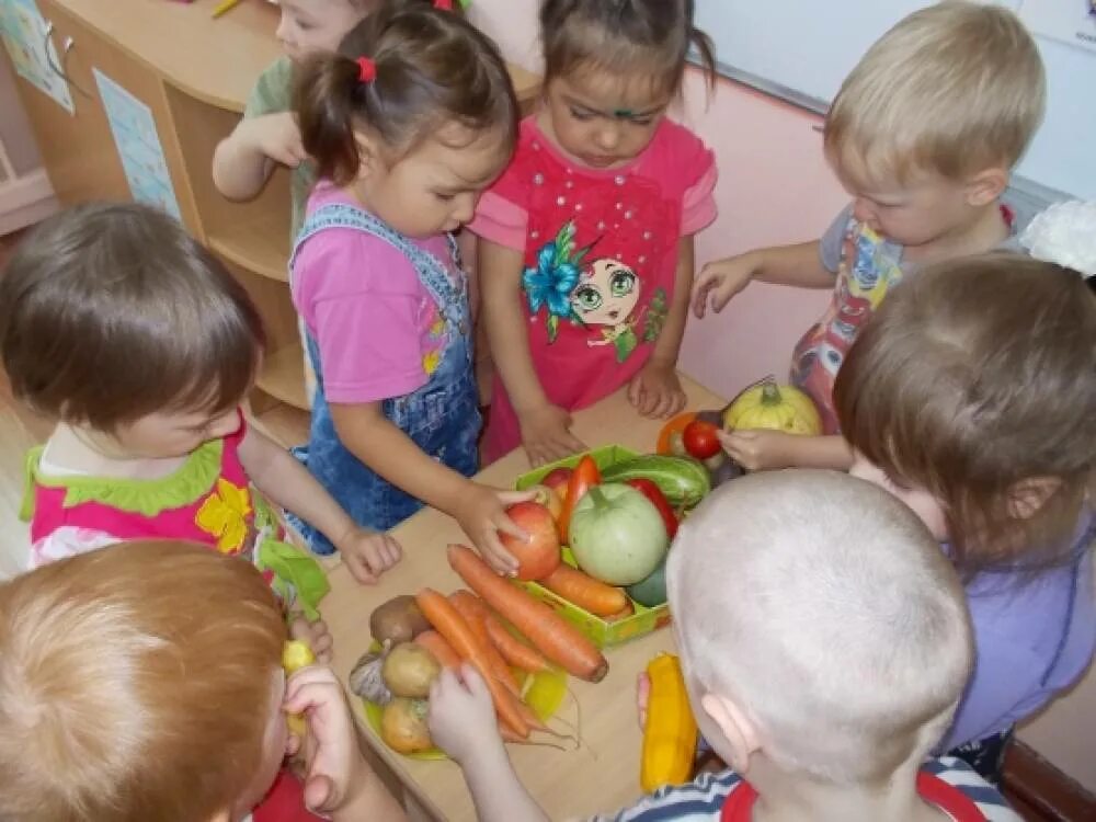 Фотоотчет во второй младшей. Занятие овощи и фрукты в младшей группе. Занятия фрукты ясли. Фрукты для занятия в детском саду. Занятие в ясельной группе фрукты и овощи.