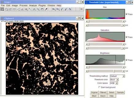 Imagej