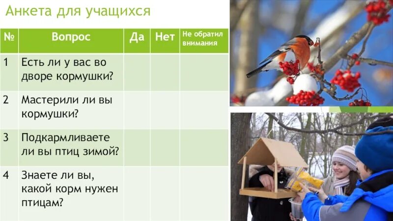 Как помочь птицам зимой 1 класс. Анкета как помочь птицам зимой. анкета зимующие птицы. анкета о зимующих птицах для детей. анкетирование зимующие птицы.