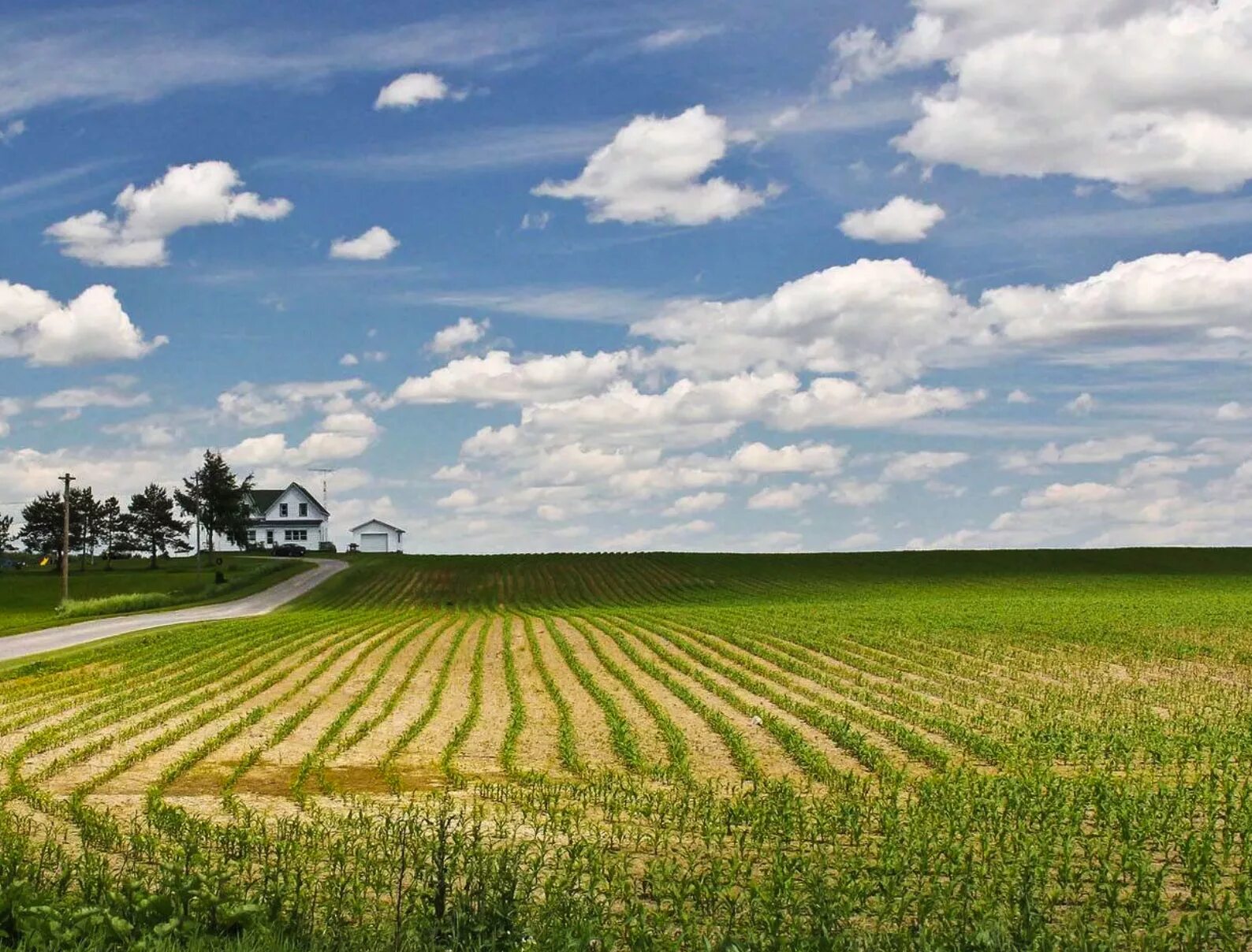 Зарастание земель сельскохозяйственного назначения. Поля сельскохозяйственного назначения. Сельское хозяйство фермерство. Сельскохозяйственного назначения дачное. (сельско-фермерское) хозяйство "домодедовская эко ферма".