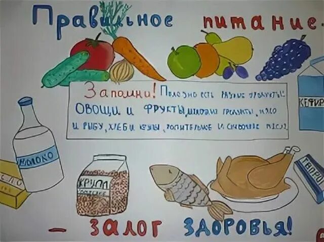 Проект правильно питайся: найдено 84 изображений