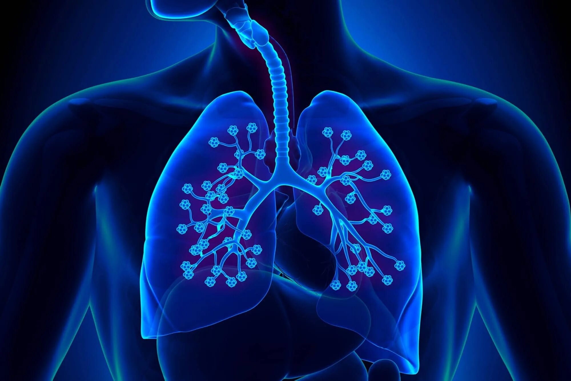 Патологии дыхательных путей. Заболевания органов дыхания. Инфекции дыхательной системы. Инфекции дыхательных путей.