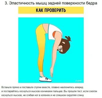 Задняя внутренняя поверхность бедра