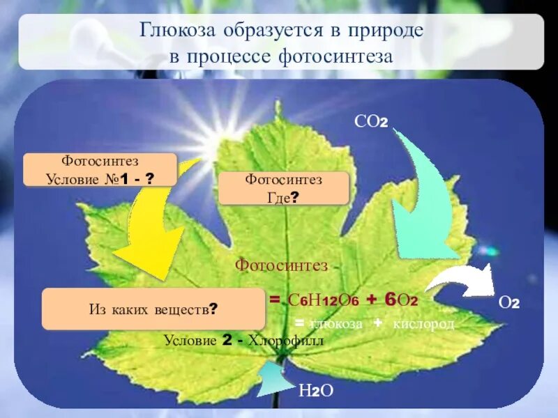 Глюкоза углекислый газ вода. Глюкоза в природе образуется в процессе. Что образуется в процессе фотосинтеза. Глюкоза при фотосинтезе. Фотосинтез Глюкоза.