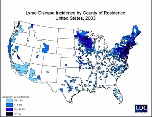 Dynamics of the incidence of meningococcal disease in the democratic republic of congo in 2000-2020. Incidence rate. Non communicable disease statistics. Лептоспироз распространение в мире. Disease incidence.