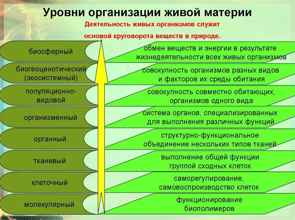 Является ли биологическая