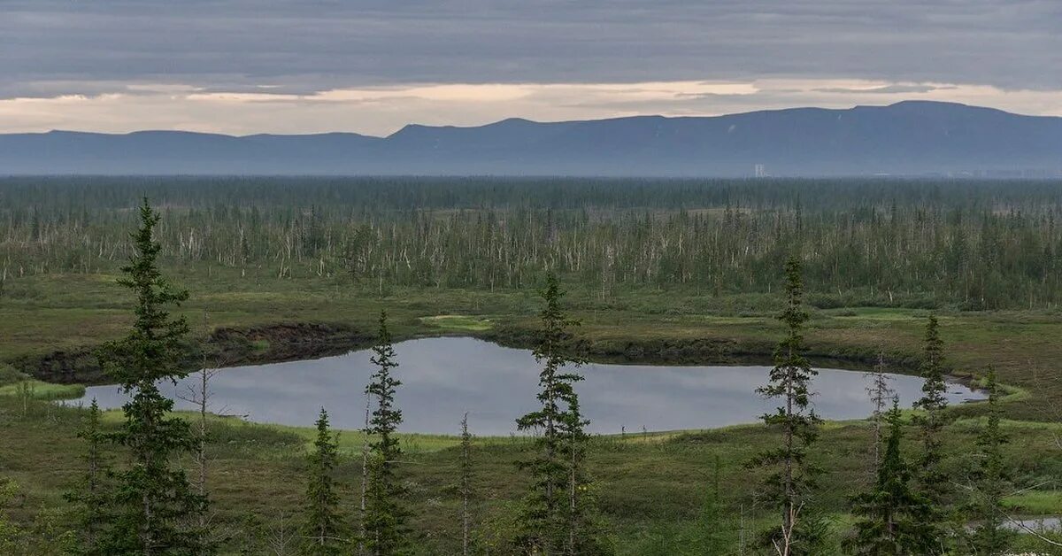 2 озеро на полуострове таймыр. Тундра Таймыра. Полуостров Таймыр Дудинка. Болота на полуострове Таймыр. Природа Таймыра.