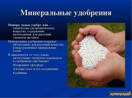 Лучшие минеральные удобрения