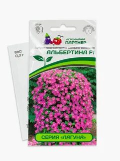 Петуния лагуна